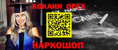 крисы Краснодар