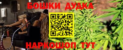 крисы Краснодар