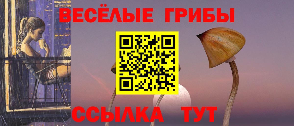 цена наркотик  Псилоцибиновые грибы прущие грибы  Вход с VPN  Кольчугино 